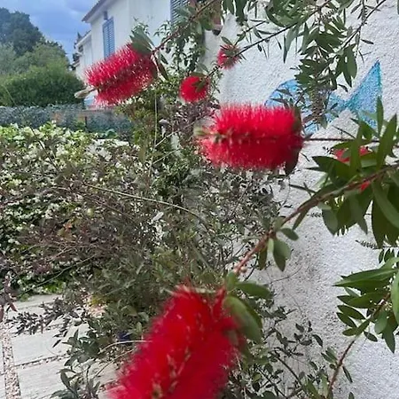 Casa Blava House Vakantiehuis *